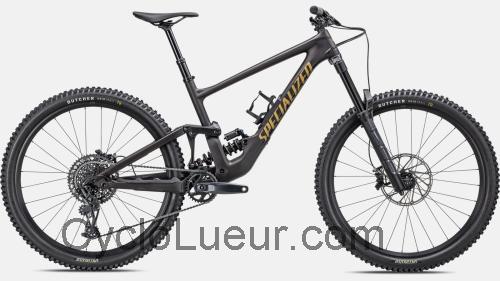 Specialized Enduro Comp fiche technique et avis